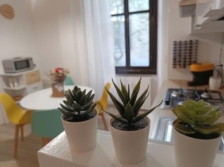 Da Rosa E Pier - Charming Central Apartment Milano Eksteriør bilde
